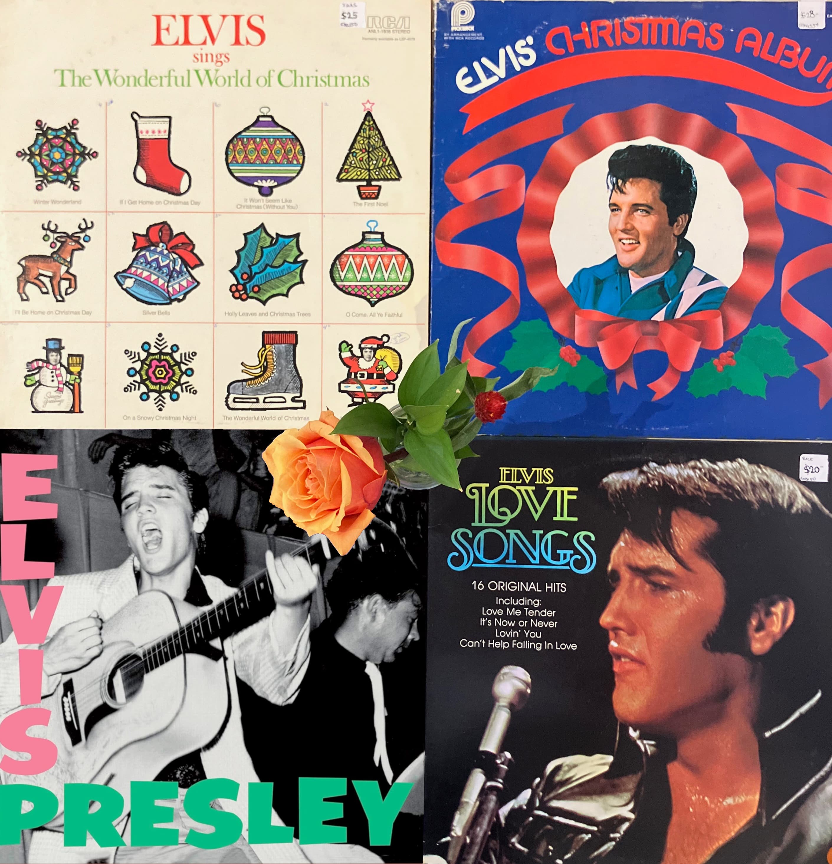 Collection of Vinyl Records (1)